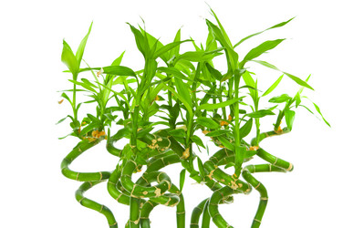 Similar image 751406