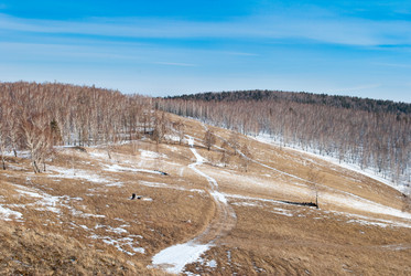 Similar image 751530