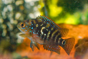 Similar image 751587