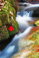 Similar image 751691