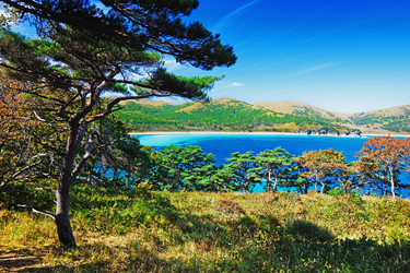 Similar image 751711