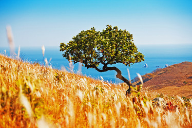 Similar image 751715