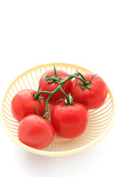 Similar image 751716