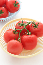 Similar image 751720