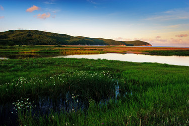 Similar image 751729