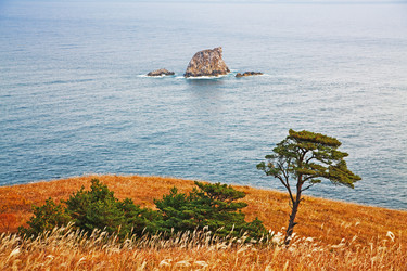 Similar image 751787