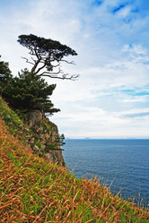 Similar image 751789