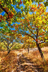 Similar image 751797