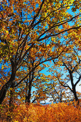 Similar image 751800