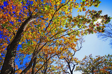 Similar image 751808