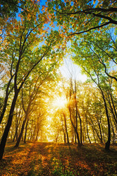 Similar image 751814