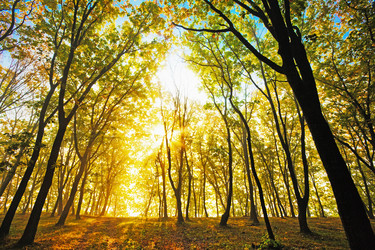 Similar image 751817