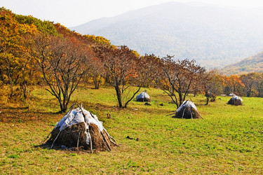 Similar image 751842