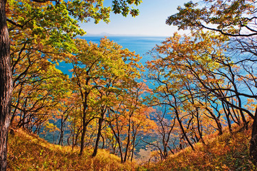 Similar image 751843