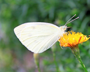 Similar image 751850