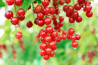 Similar image 751855