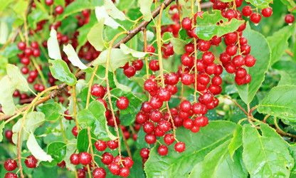 Similar image 751857