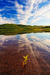 Similar image 751872