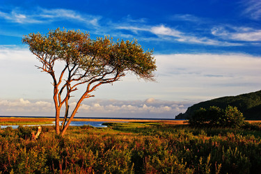 Similar image 751876