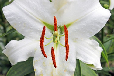 Similar image 751877