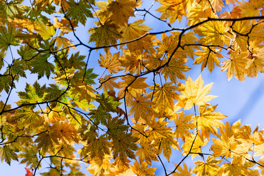 Similar image 751883