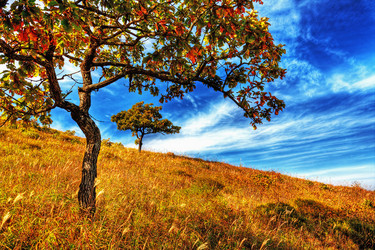 Similar image 751907