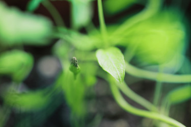 Similar image 751984