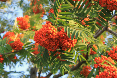 Similar image 752007