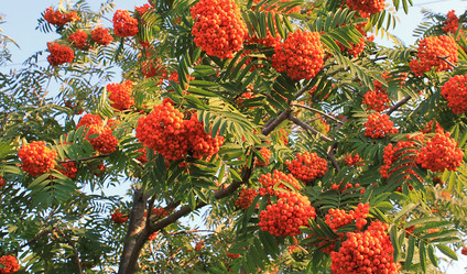 Similar image 752014