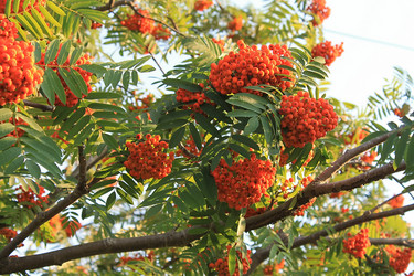 Similar image 752016