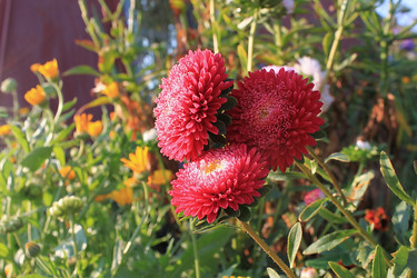 Similar image 752018