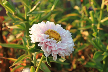 Similar image 752028