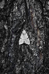 Similar image 752136