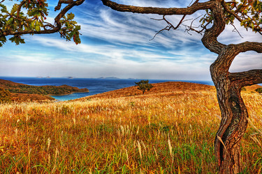 Similar image 752288