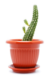 Similar image 752461