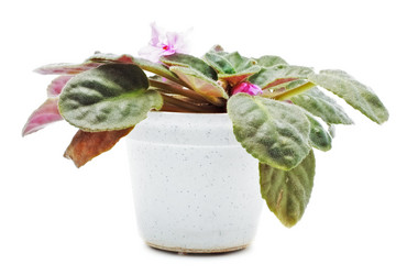 Similar image 752472