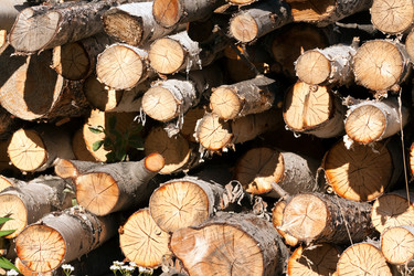 Similar image 752768