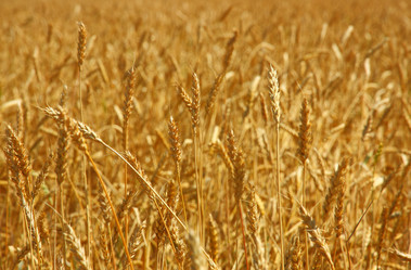 Similar image 752800