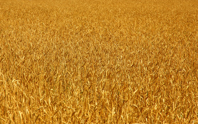 Similar image 752801