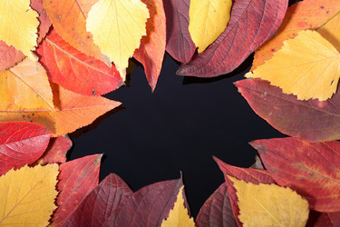 Similar image 752908