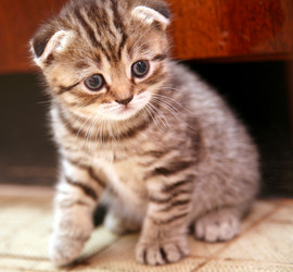 Similar image 752990