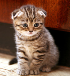 Similar image 752993