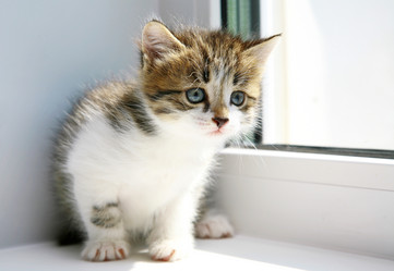 Similar image 752994