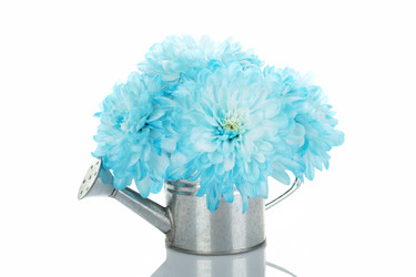 Similar image 753002