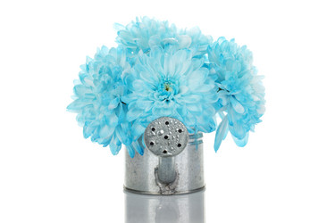 Similar image 753003