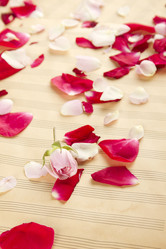 Similar image 753054