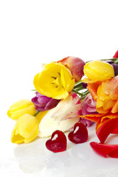 Similar image 753065