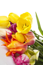 Similar image 753068