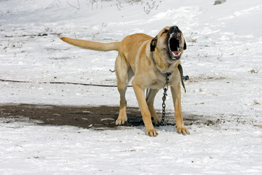 Similar image 753165