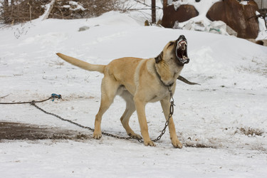 Similar image 753166